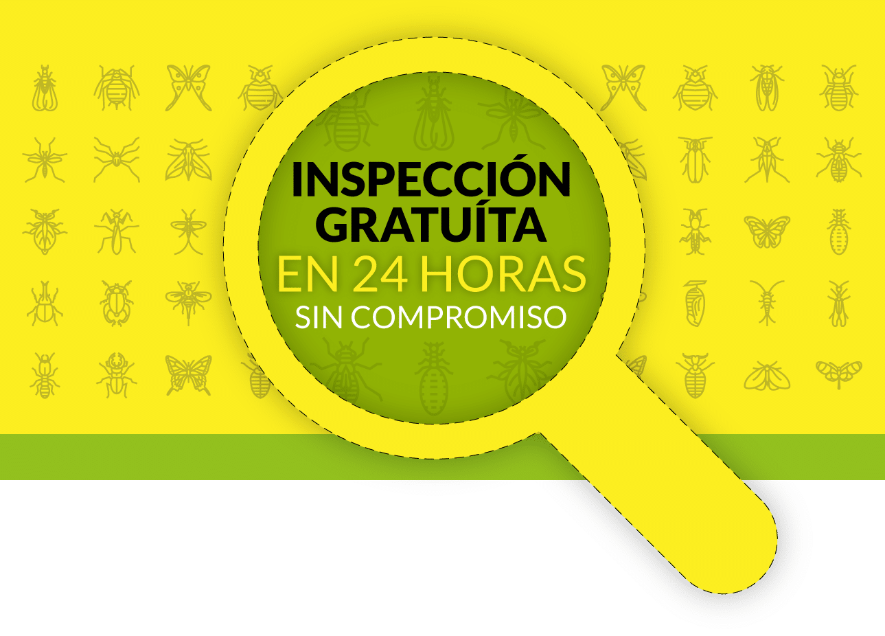 Inspección gratuita en 24 horas sin compromiso