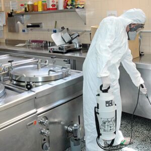 control de plagas en cocinas