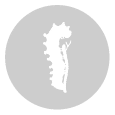procesionaria del pino