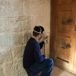 conservacion de patrimonio y control de plagas en iglesias